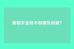 商朝农业技术有哪些创新？