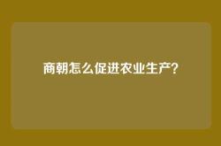 商朝怎么促进农业生产？