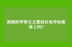 商朝的甲骨文主要刻在龟甲和兽骨上吗？