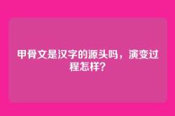 甲骨文是汉字的源头吗，演变过程怎样？