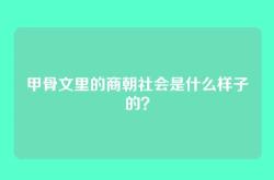甲骨文里的商朝社会是什么样子的？