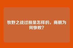牧野之战过程是怎样的，商朝为何惨败？