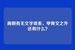 商朝有无文字体系，甲骨文之外还有什么？