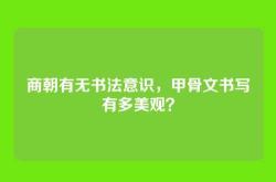 商朝有无书法意识，甲骨文书写有多美观？