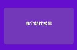 哪个朝代被黑