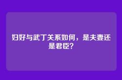 妇好与武丁关系如何，是夫妻还是君臣？