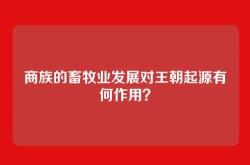 商族的畜牧业发展对王朝起源有何作用？