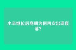 小辛继位后商朝为何再次出现衰落？