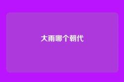 大雨哪个朝代