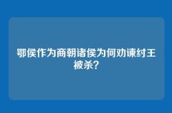 鄂侯作为商朝诸侯为何劝谏纣王被杀？
