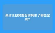商纣王自焚鹿台时携带了哪些宝物？