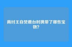 商纣王自焚鹿台时携带了哪些宝物？