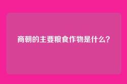 商朝的主要粮食作物是什么？