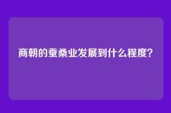 商朝的蚕桑业发展到什么程度？