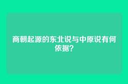 商朝起源的东北说与中原说有何依据？