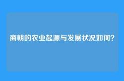 商朝的农业起源与发展状况如何？