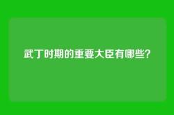 武丁时期的重要大臣有哪些？