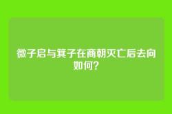 微子启与箕子在商朝灭亡后去向如何？