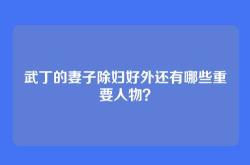 武丁的妻子除妇好外还有哪些重要人物？