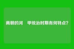 商朝的河亶甲统治时期有何特点？