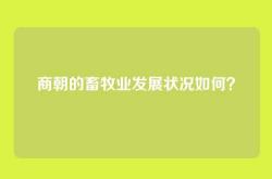 商朝的畜牧业发展状况如何？