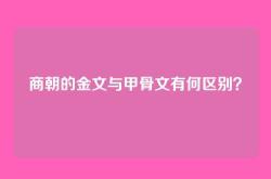 商朝的金文与甲骨文有何区别？
