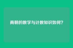商朝的数学与计数知识如何？