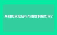 商朝的家庭结构与婚姻制度如何？