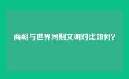 商朝与世界同期文明对比如何？