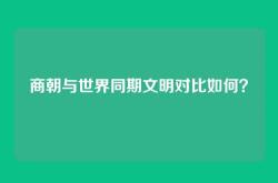 商朝与世界同期文明对比如何？