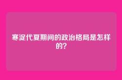 寒浞代夏期间的政治格局是怎样的？