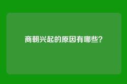 商朝兴起的原因有哪些？