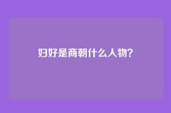 妇好是商朝什么人物？