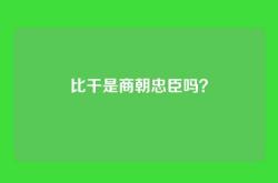 比干是商朝忠臣吗？