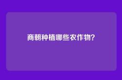 商朝种植哪些农作物？