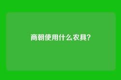 商朝使用什么农具？