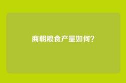 商朝粮食产量如何？