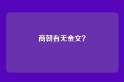 商朝有无金文？