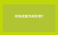 司母戊鼎为何珍贵？