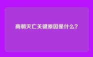 商朝灭亡关键原因是什么？