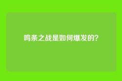 鸣条之战是如何爆发的？