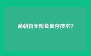 商朝有无粮食储存技术？