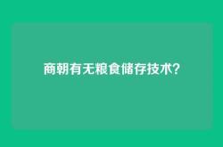 商朝有无粮食储存技术？