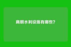 商朝水利设施有哪些？