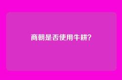 商朝是否使用牛耕？