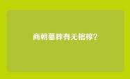 商朝墓葬有无棺椁？