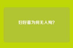 妇好墓为何无人殉？