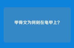 甲骨文为何刻在龟甲上？