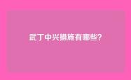 武丁中兴措施有哪些？