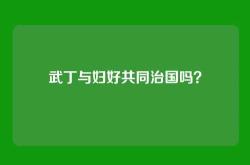 武丁与妇好共同治国吗？